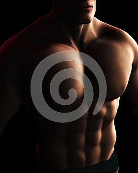 Male BodyBuilder Torso Digital Illustration
