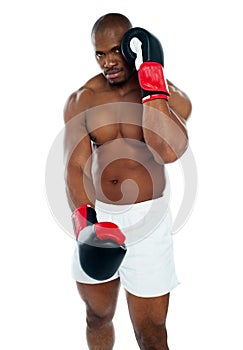 Male boxer in a defensive stance photo