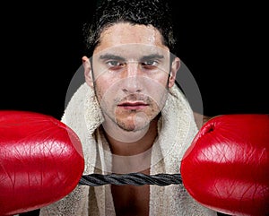 Male Boxer with gloves