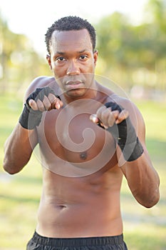 Male boxer in the park