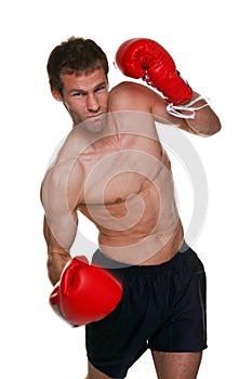 Male boxer uppercut punch photo