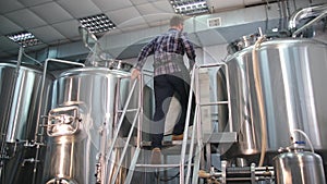 A male brewer in an apron with a beard looks inside the beer tank and controls the brewing process.