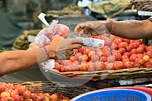 Male buyer paying with cash after buying tomatoes at the Port Louis market in Mauritius