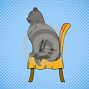 Male cat sits on chair pop art vector