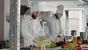 Male chef cooking gourmet dish with green salad and celery