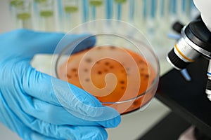 A male chemist holds test tube of glass in his hand