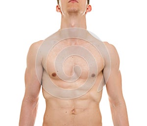 Male Chest Anatomy - Man Muscles Front View