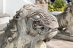 Male chinese stone lion statue