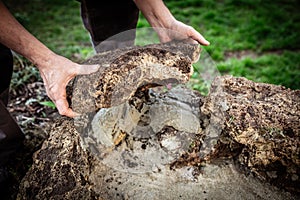 A male craftsman builds a raised bed or wall from rough stones