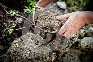 A male craftsman builds a raised bed or wall from rough stones