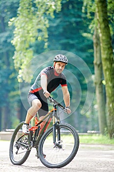 Male cyclist riding beautiful park alley