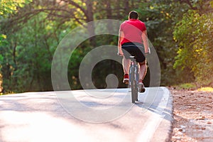 Male cyclist riding his bike on sunset on a road through deep woods. Extreme biker no safety equipment