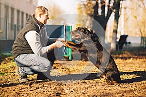 Male cynologist, police dog training outdoor