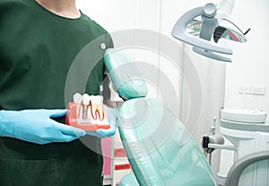 Male dentist carrying a sample of dental implants