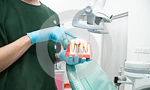 Male dentist carrying a sample of dental implants