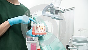 Male dentist carrying a sample of dental implants