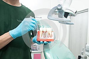 Male dentist carrying a sample of dental implants