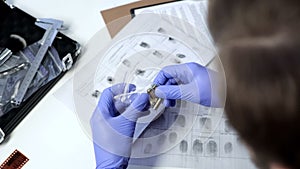 Male detective wearing gloves examining bullets from crime scene in office