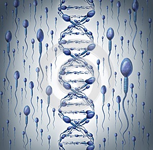 Male DNA