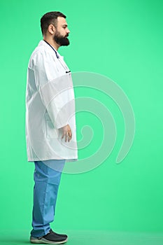 Male doctor, full-length, on a green background