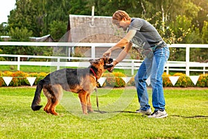 A male dog handler trains a German shepherd dog.