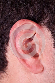 Male Ear