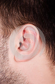 Male ear in close up