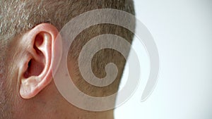 Male ear close up. Gray haired man temple and ear left side view. Human hearing organs. Human body anatomy.