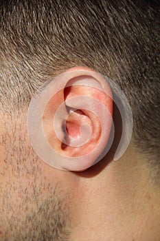 Male Ear