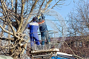 Male electricians cut tree branches eliminating the breakage of the electric grid line.