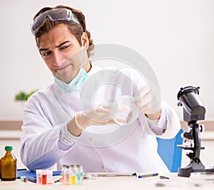 Male entomologist working in the lab on new species