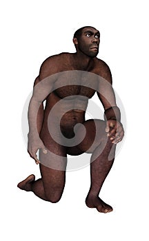 Male erectus asking - 3D render