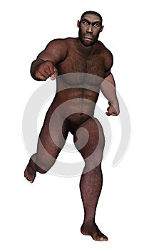 Male erectus running - 3D render