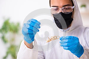 Male expert criminologist working in the lab for evidence