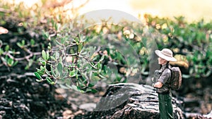 A male explorer stands looking at the scenery and nature surrounding the tropical forest.