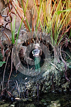 A male explorer stands looking at the scenery and nature surrounding the tropical forest.