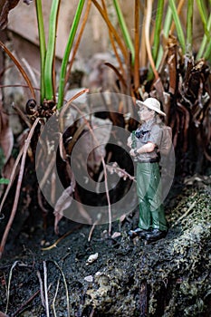 A male explorer stands looking at the scenery and nature surrounding the tropical forest.