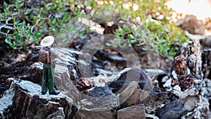 A male explorer stands looking at the scenery and nature surrounding the tropical forest.