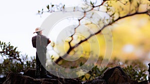 A male explorer stands looking at the scenery and nature surrounding the tropical forest.