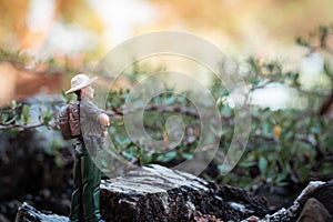 A male explorer stands looking at the scenery and nature surrounding the tropical forest.