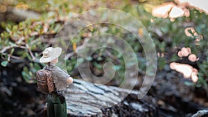 A male explorer stands looking at the scenery and nature surrounding the tropical forest.