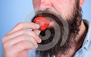 Male face beard try strawberry. Berry male mouth surrounded beard mustache. Gastronomic pleasure. Desire concept. Oral