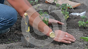 Male farmer hands exploring her on fertile agricultural landscape.