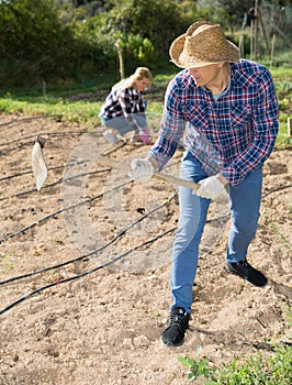 Male farmer hoeing soil
