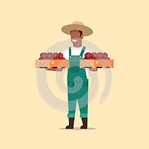 Male farmer holding boxes with red ripe tomatoes african american man harvesting vegetables agricultural worker eco