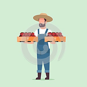 Male farmer holding boxes with red ripe tomatoes man harvesting vegetables agricultural worker eco farming concept flat