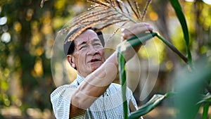 Male farmer holding clipboard and checking quality of leaves in the corn field. Agribusiness concept