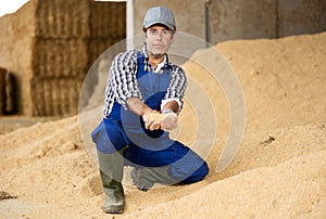 Male farmer is holding handful of soybean hulls