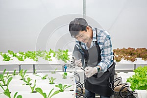 Male farmer holding tablet checking quality water in greenhouse. pipe circulation hose system. Concept of vegetables health food.