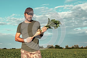 Male farmer posing in sugar beet field